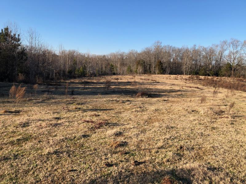 Drinkard Real Estate Sales